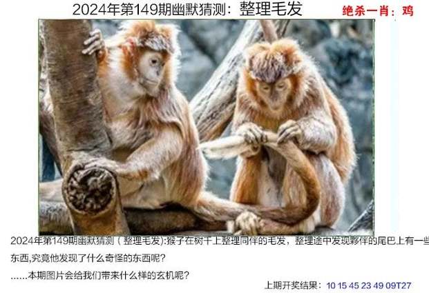 今日科普一下！香港最精准六合资料,百科词条爱好_2024最新更新